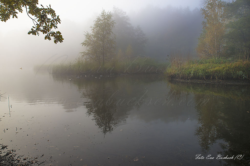 Foto av Eva Bucksch